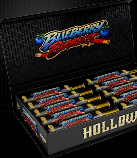 Open hinged display box holding ten units